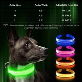 img 3 attached to Flashseen LED Dog Collar: USB Rechargeable Glowing Pet Collar for Night Safety