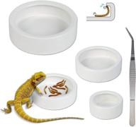 🦎 ceramic reptile food and water bowl set of 3 with tweezer - mini feeding dish for lizards, anoles, bearded dragons - ideal worm dish logo