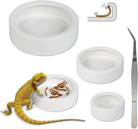 img 4 attached to 🦎 Ceramic Reptile Food and Water Bowl Set of 3 with Tweezer - Mini Feeding Dish for Lizards, Anoles, Bearded Dragons - Ideal Worm Dish
