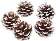 покрашенные белые шишки сосны: идеально подходят для создания праздничных новогодних украшений массовым заказом (1,96-2,36 дюйма - 12 штук) логотип