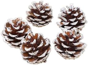 img 1 attached to Dyed White Pine Cones: Perfect for Crafting Festive Christmas Decorations in Bulk (1.96-2.36 inches – 12pcs)