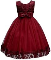 burgundy sleeveless girls' clothing and dresses for princess-themed birthday occasions logo