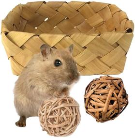 img 1 attached to 🐰 kathson Bunny Bed: Multifunctional Chew Toy & Hay Feeder for Small Animals - Rabbits, Guinea Pigs, Hamsters, and More