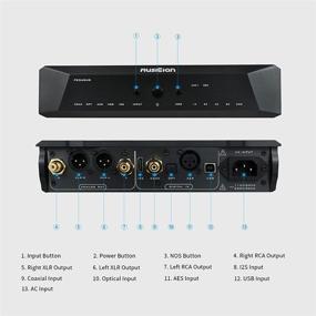 img 1 attached to 🎧 Pegasus R2R DAC Decoder: Delivering DSD1024 and PCM1536 Audio Excellence with Advanced Connectivity and Filter Technology (Black)