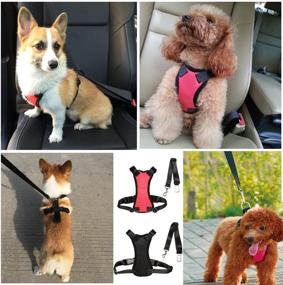 img 1 attached to 🐶 HANCIN Dog Car Harness: Safe Pet Cat and Dog Vest Harness with Car Seat Belt