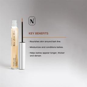 img 1 attached to 💯 NOACIER Eyelash Serum: Nourishing Peptides & Conditioner for Strong, Long, Voluminous Lashes - Strengthening Oil to Moisturize and Enhance Sparse Lashes