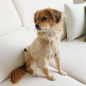 img 1 attached to 🌸 BLOOMING PET Plain Hoodie Shirt Pullover: Stylish Spring Clothes for Small Dogs