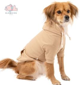 img 3 attached to 🌸 BLOOMING PET Plain Hoodie Shirt Pullover: Stylish Spring Clothes for Small Dogs