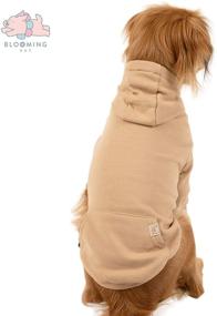 img 2 attached to 🌸 BLOOMING PET Plain Hoodie Shirt Pullover: Stylish Spring Clothes for Small Dogs