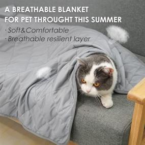 img 1 attached to Keep Your Pets Cool and Comfortable with the Dog Cooling Blanket (2 Pack) - Breathable Ice Silk Fabric for Summer Sleeping and Air-Conditioned Rooms