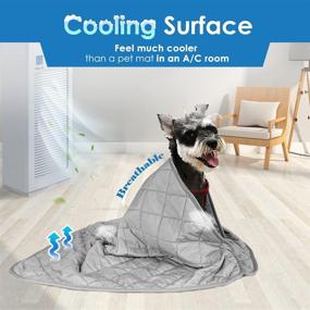 img 2 attached to Keep Your Pets Cool and Comfortable with the Dog Cooling Blanket (2 Pack) - Breathable Ice Silk Fabric for Summer Sleeping and Air-Conditioned Rooms