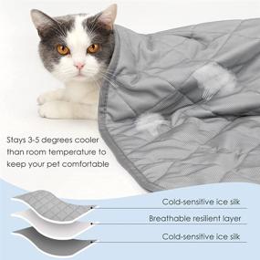 img 3 attached to Keep Your Pets Cool and Comfortable with the Dog Cooling Blanket (2 Pack) - Breathable Ice Silk Fabric for Summer Sleeping and Air-Conditioned Rooms