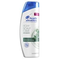 🧴 head and shoulders paraben-free shampoo for itchy scalp care - daily-use anti-dandruff formula, 13.5 fl oz, pack of 2 logo