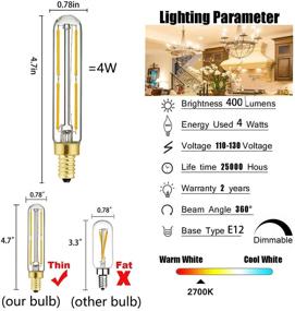 img 3 attached to HXMLS Transparent Incandescent Equivalent Candelabra