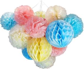 img 2 attached to Voplop Summer Wind Set: Stunning Tissue Paper Pom Poms, Flowers, Lanterns & Garland for Weddings, Birthdays, and Baby Showers