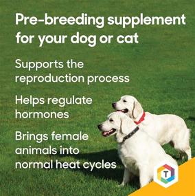 img 3 attached to 🐾 Thomas Labs Breed Heat Herbal Supplement - Enhancing Breeding & Reproductive Function for Dogs & Cats