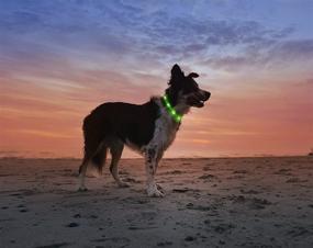 img 3 attached to 💡 Illumiseen LED Dog Necklace Collar: Rechargeable & Visible in 6 Colors - Keep Your Dog Safe and Seen!