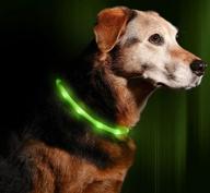 💡 illumiseen led dog necklace collar: rechargeable & visible in 6 colors - keep your dog safe and seen! логотип