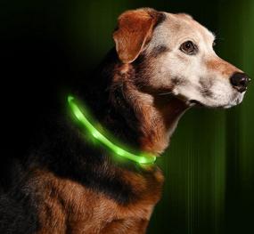 img 4 attached to 💡 Illumiseen LED Dog Necklace Collar: Rechargeable & Visible in 6 Colors - Keep Your Dog Safe and Seen!