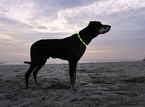 img 2 attached to 💡 Illumiseen LED Dog Necklace Collar: Rechargeable & Visible in 6 Colors - Keep Your Dog Safe and Seen!