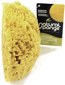img 1 attached to 7-8 Inch Natural Sea Sponge with Wool