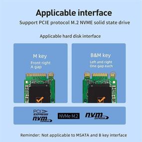 img 3 attached to Адаптерная карта PCIe 3.0 X4 X8 X16 для M.2 NVMe или AHCI SSD (поддерживает 22110/2280/2260/2242/2230) - M10