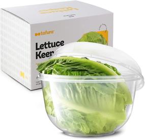 img 4 attached to 🥬 Tafura Fridge Lettuce Keeper: Crisper, Vegetable Saver & Storage Container with Lid - Greensaver, Salad Saver Box