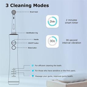 img 2 attached to Mornwell Electric Toothbrush: USB Fast Charging, 3 Modes, Rechargeable Spin Toothbrush with 2 Round Brush Heads - Ideal for Adults & Kids (8+ Years Old)