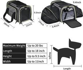 img 2 attached to 🐱 AIIYME Cat Pet Carrier - Expandable & Airline Approved Travel Bag for Cats, Dogs, and Small Animals (18" L x 11" W x 9.5" H)