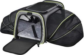 img 4 attached to 🐱 AIIYME Cat Pet Carrier - Expandable & Airline Approved Travel Bag for Cats, Dogs, and Small Animals (18" L x 11" W x 9.5" H)