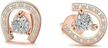 aktap horseshoe earrings fashion zirconia logo