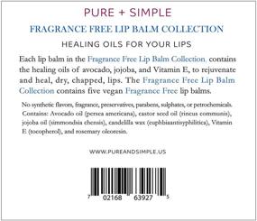 img 2 attached to PURE + SIMPLE Vegan Lip Balm: Fragrance Free Lip Balm Collection 👄 for Dry, Cracked or Chapped Lips – Cruelty Free Chapstick, Moisturizing 5 Tube Set