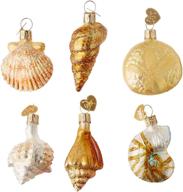 🐚 exquisite old world christmas mini ornament set: glass blown assorted sea shell ornaments for spectacular christmas trees logo