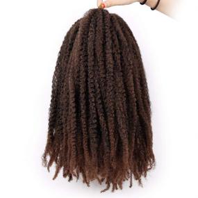 img 3 attached to 🔗 AISI BEAUTY Marley Twists Hair: Kinky Curly Braiding Hair Extensions for Stylish 18-Inch Marley Twists (1B-30#)!