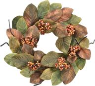 🍂 cloris art fall door wreaths - artificial magnolia leaves and berry decor, 20-22 inch green thanksgiving wreath for farmhouse home window wall decoration логотип