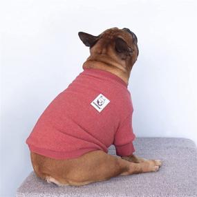 img 3 attached to 🐶 Winter-Ready Wardrobe Essential: iChoue Pet Dog Sweater Coat, Ensuring Warmth and Style