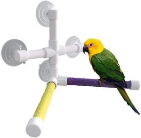 img 4 attached to 🐦 Parrot Window Shower Rack Toy - Bird Bath Perch Stand with 4-Suction Cup, Ideal for Parakeet Lovebirds Macaw Cockatiel Cockatoo African Grey Conure