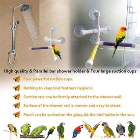 img 1 attached to 🐦 Parrot Window Shower Rack Toy - Bird Bath Perch Stand with 4-Suction Cup, Ideal for Parakeet Lovebirds Macaw Cockatiel Cockatoo African Grey Conure