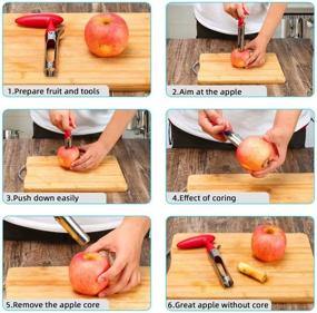 img 1 attached to SCHVUBENR Premium Apple Corer Tool - Easy to Use and Clean - Sturdy Apple Core Remover with Sharp Serrature - Stainless Steel Corers for Apple and Pear - Effortlessly Core Fruits (Red)