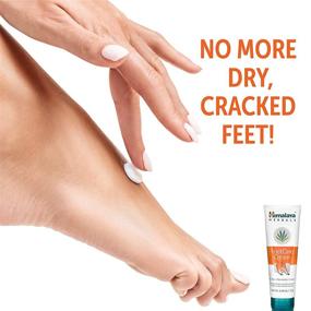 img 1 attached to Крем для ног Himalaya FootCare: питание и увлажнение для сухих ног и треснувших пяток, 2.64 унции.