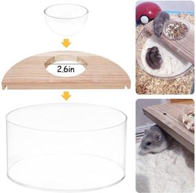 img 2 attached to Acrylic Assemble Hamster Container Chinchilla
