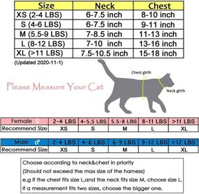 img 3 attached to 🐱 Yizhi Miaow Escape Proof Kitty Harness and Leash for Walking - Adjustable Kitty Walking Jackets for Outdoor Adventures, Padded and Stylish Kitty Vest