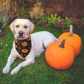 img 2 attached to Halloween Bandanas Reversible Pumpkin Triangle