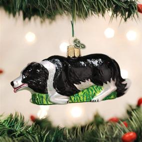 img 3 attached to 🎄 Adorn Your Christmas Tree with Old World Christmas Dog Collection Glass Blown Ornaments featuring Herding Border Collie