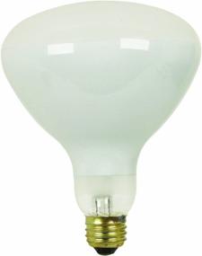img 2 attached to 300 Watt Dimmable Incandescent Pool and Spa Flood Light Bulb - Soft White R40 (300R/FL-130)