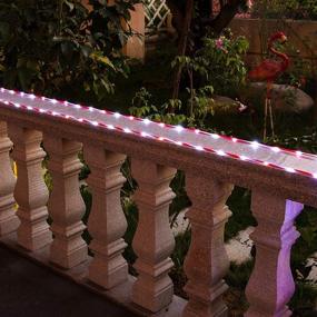 img 2 attached to 🎄 ZHONGXIN Battery-Powered Rope Lights: 16.5ft Red & White Candy Cane Tube with 67 Cool White LEDs Fairy Lights - Waterproof, Timer, Perfect for Wedding, Party, Garden, Corridor, Christmas Decor - 2 Pack