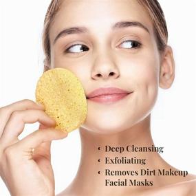 img 3 attached to 🧽 GAINWELL Compressed Facial Sponges: Natural 50-Piece Set with Storage Container