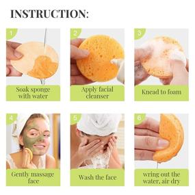 img 2 attached to 🧽 GAINWELL Compressed Facial Sponges: Natural 50-Piece Set with Storage Container