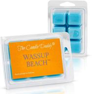 🏖️ wassup beach: забавные парафиновые плавки с ароматом океана - максимальная ароматизация - 1 пакет, 2 унции, 6 кубиков. логотип
