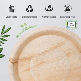 img 1 attached to 🍃 Chic Leaf: The Ultimate Solution for Disposable Compostable Biodegradable Food Service Equipment & Supplies